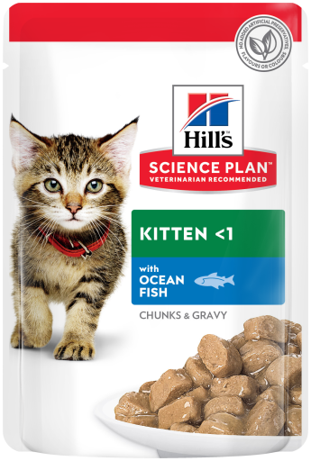 Hills Kitten With Ocean Fish - 85gr