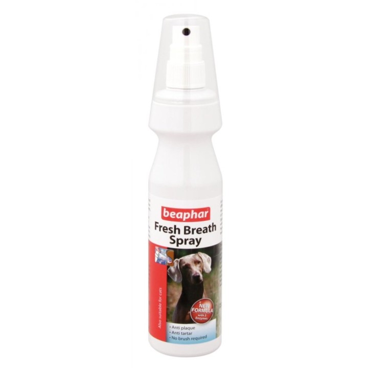 Fresh Breath Spray