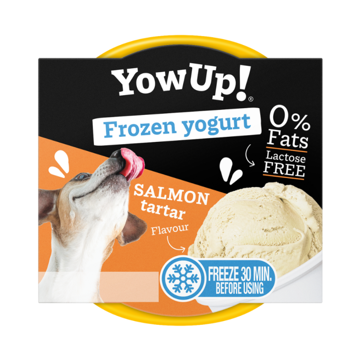 Yow Up Ice Cream Yoghurt Salmon Tartar - 110gr