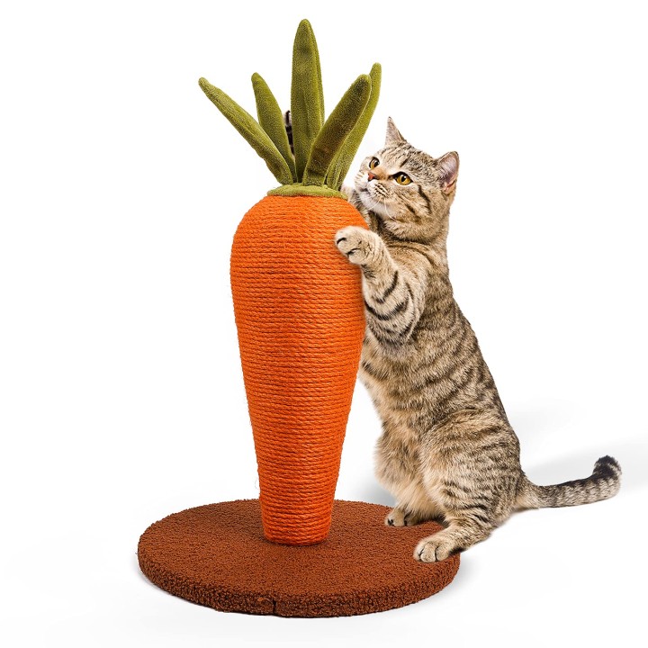 Leo Pet Carrot Scratching Post