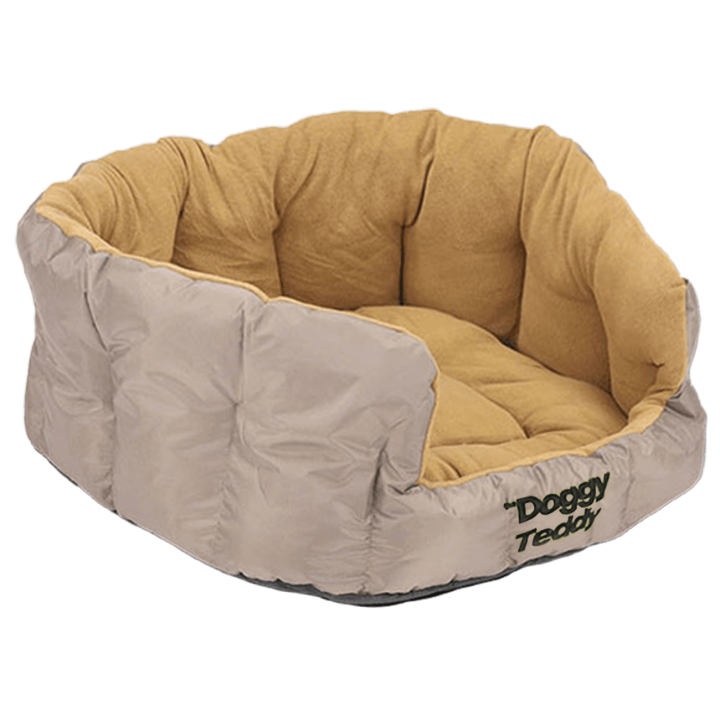 Doggy Teddy X-treme Fossil