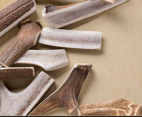 Antlerworld Split Deer Antler Dog Chew - 50gr