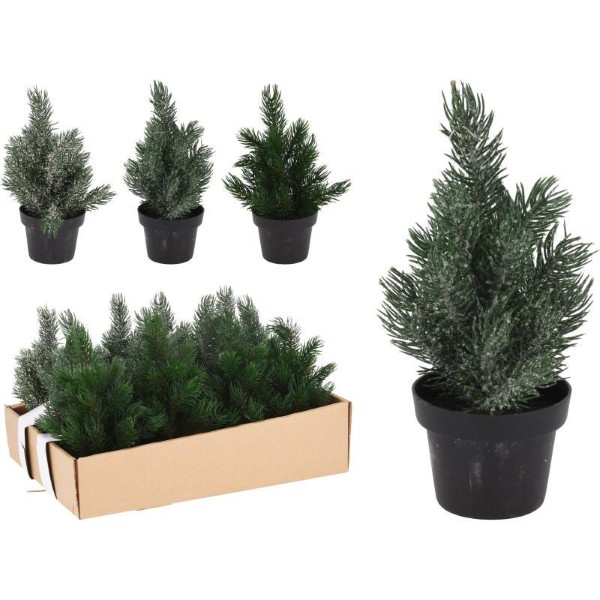 CHRISTMAS PINE TREE IN POT 22CM - ASSORTED DESIGNS