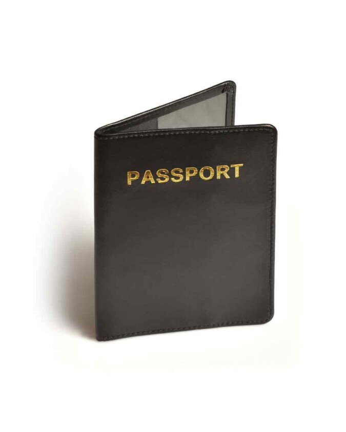 Travel Blue RFID Passport Cover - Identity Protection
