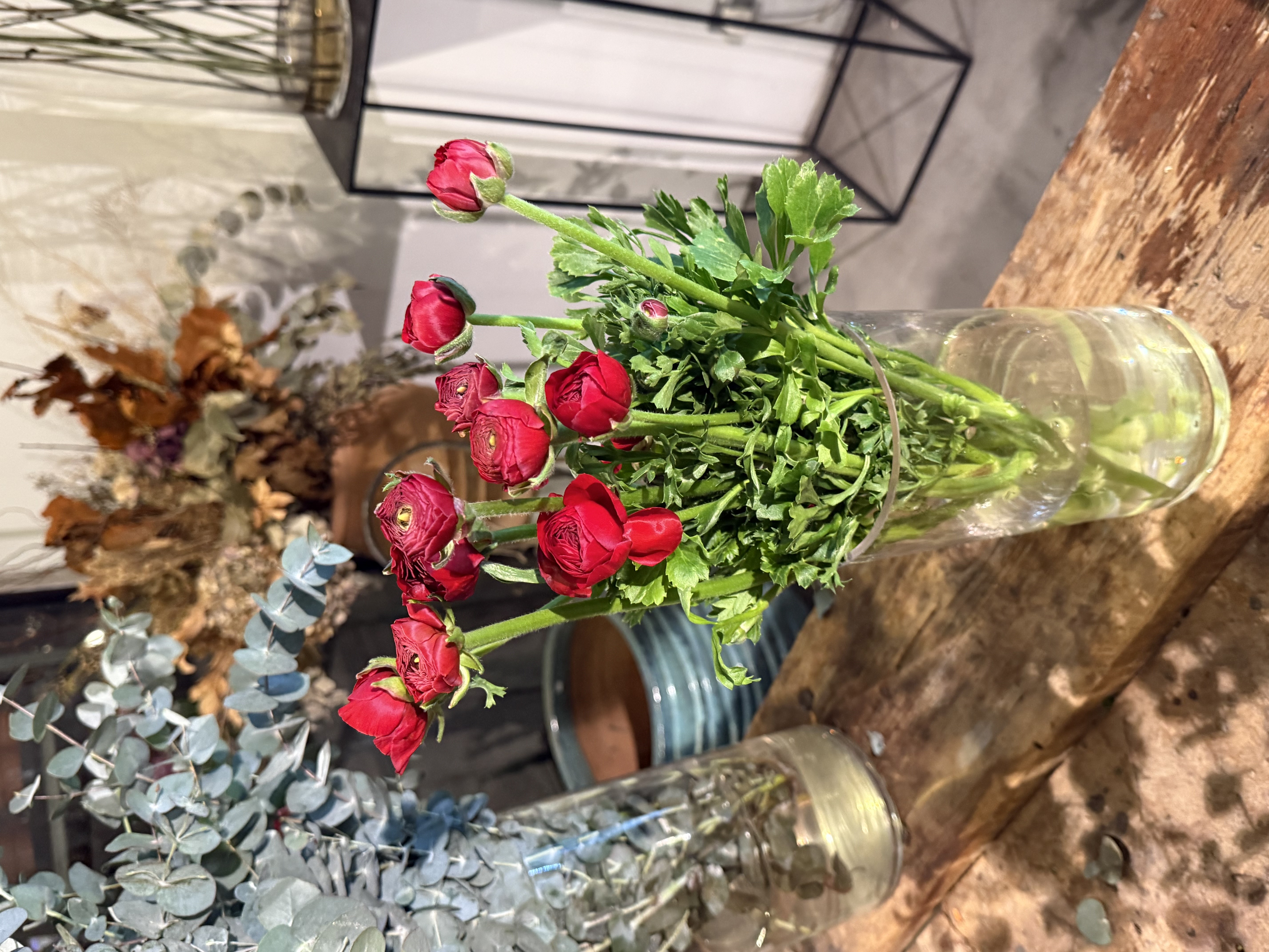 Red Ranunculus 10 Stems