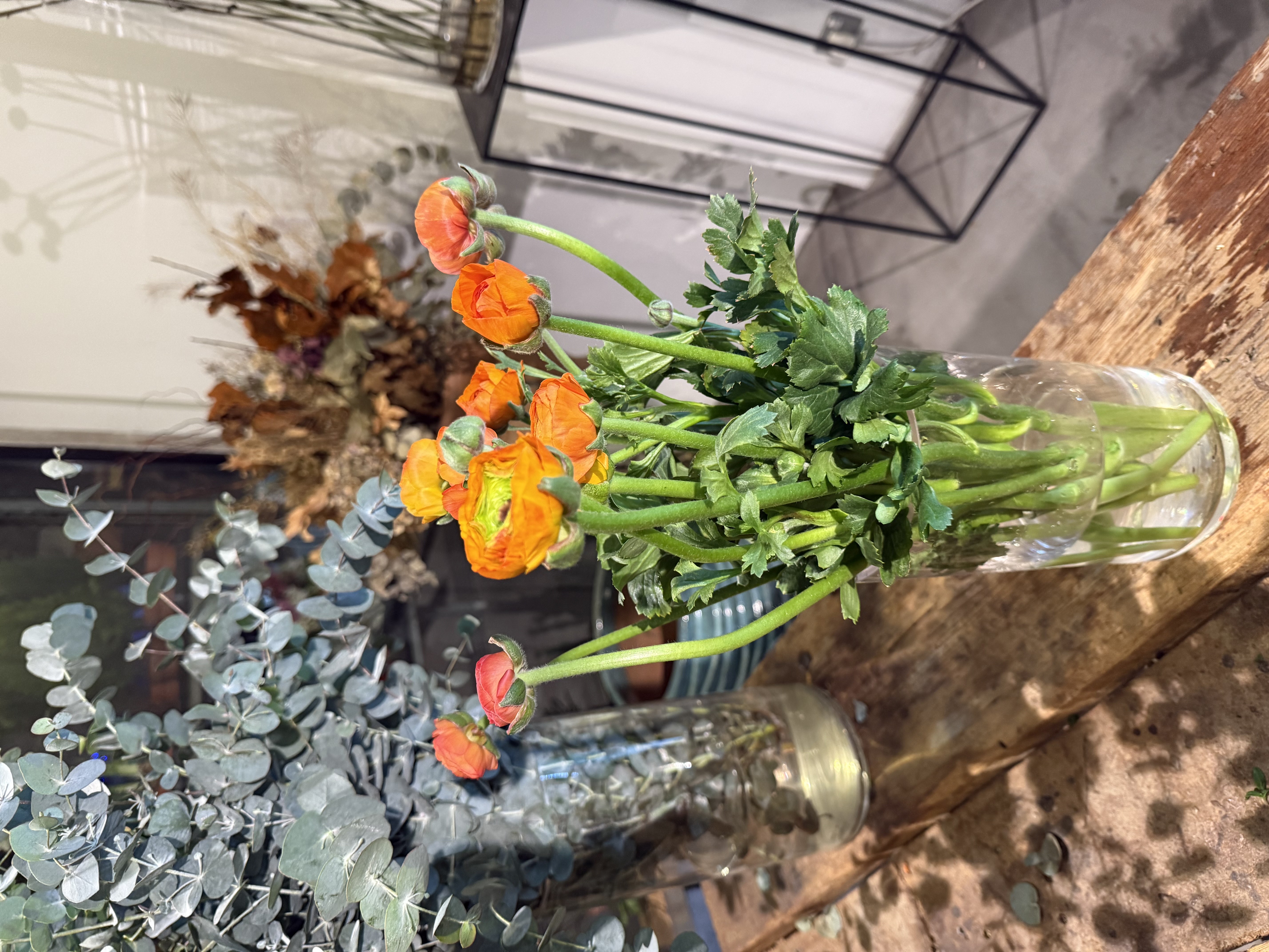 Orange Ranunculus 10 Stems