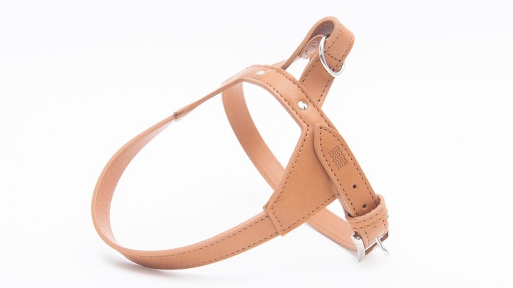 Project Blu Tyrol - Apple Leather Dog Harness S