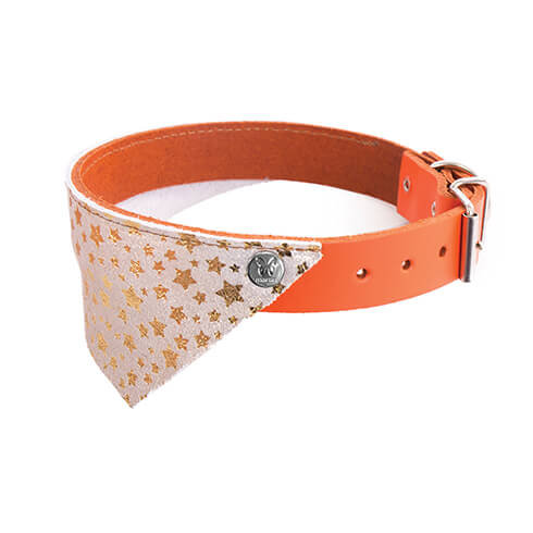 Martin Sellier Collar Leather Miami Gold/Orange T56