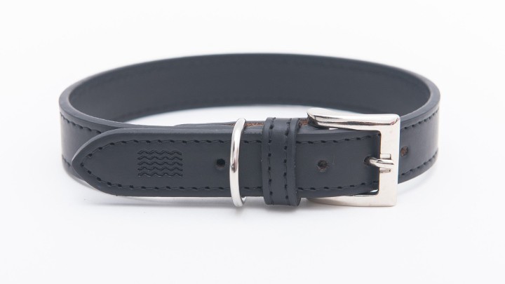 Project Blu Amalfi - Apple Leather Dog Collar Xl
