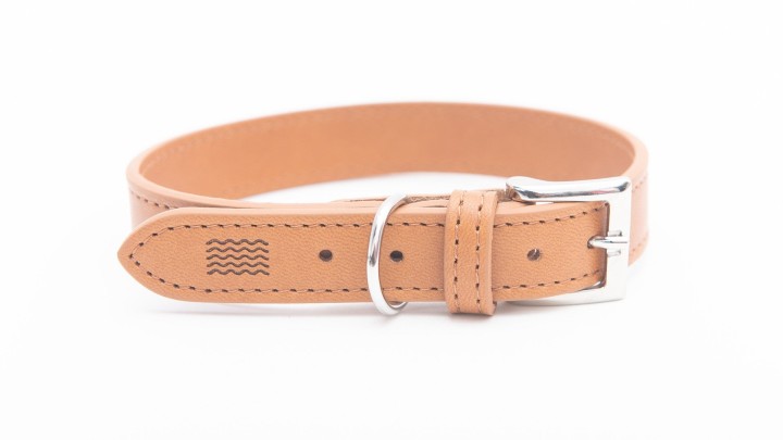 Project Blu Tyrol - Apple Leather Dog Collar S