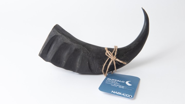 Cernunos Buffalo Horn For Dog S