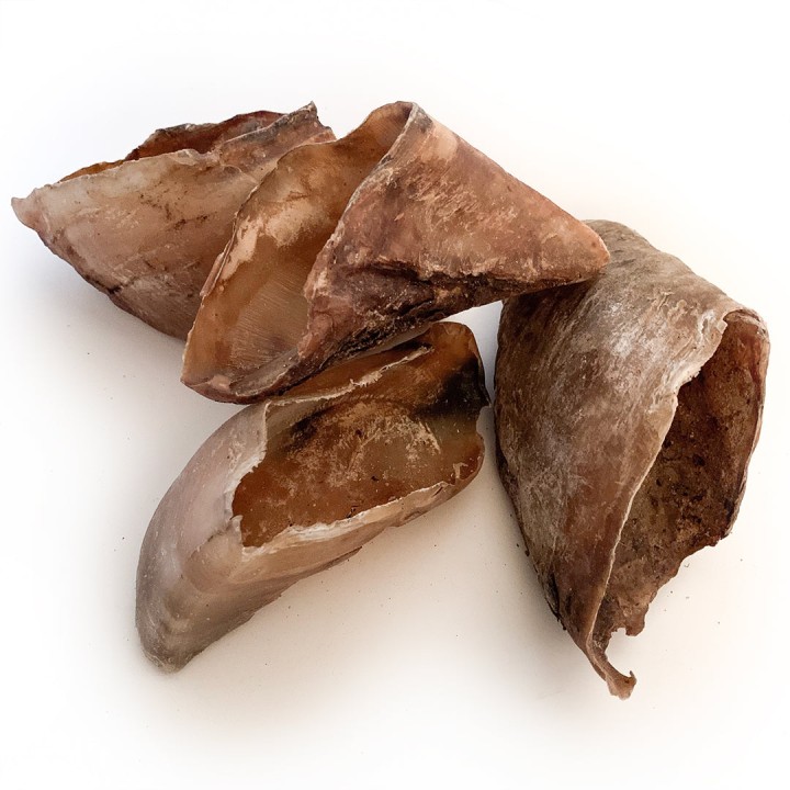 Cernunos Dried Cow Hooves L