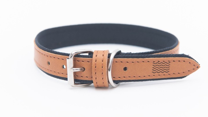 Project Blu Florence - Apple Leather Dog Collar S