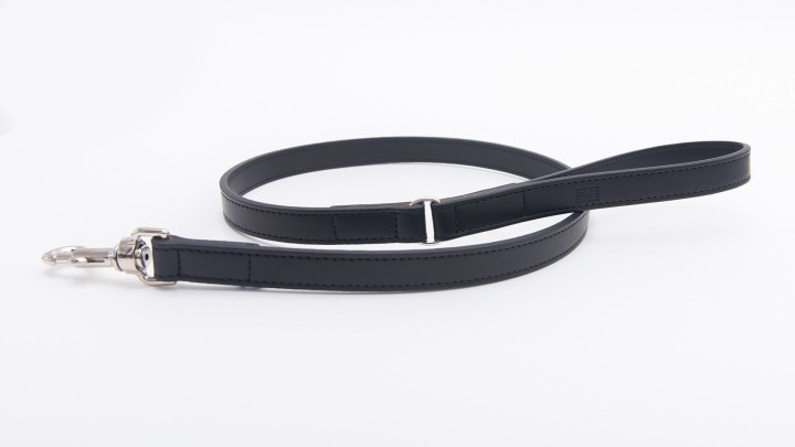 Project Blu Amalfi - Apple Leather Dog  Leash Leash