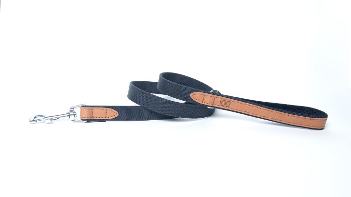 Project Blu Florence - Apple Leather Dog Leash Leash