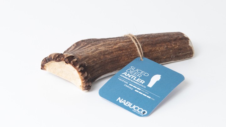 Cernunos Sliced Deer Antler Xxl