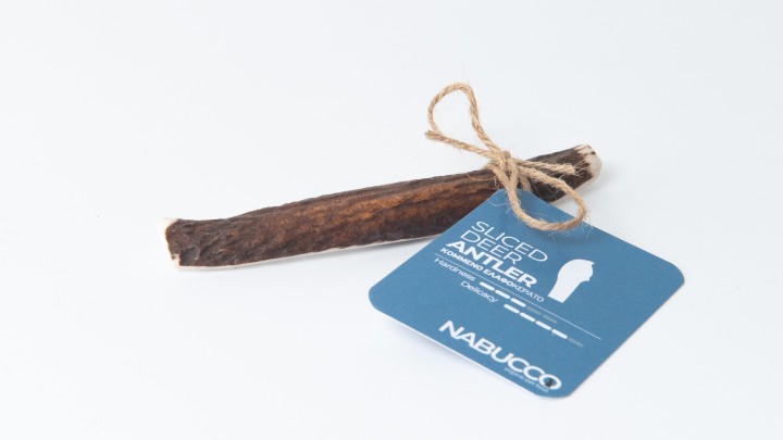 Cernunos Sliced Deer Antler Xs