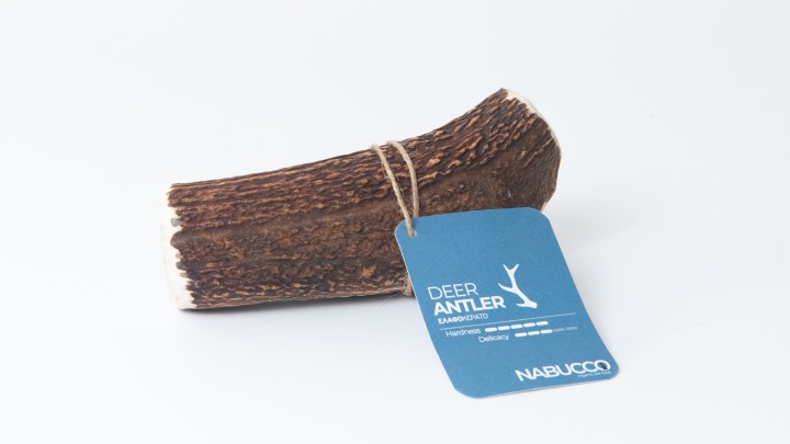 Cernunos Deer Antler For Dog Xl