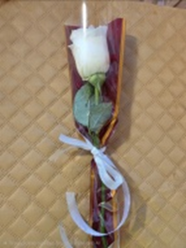 White Single Rose