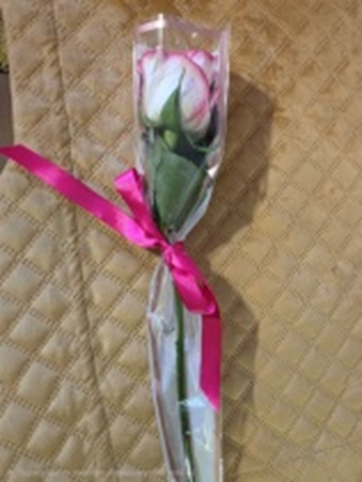 Double Colour Single Rose