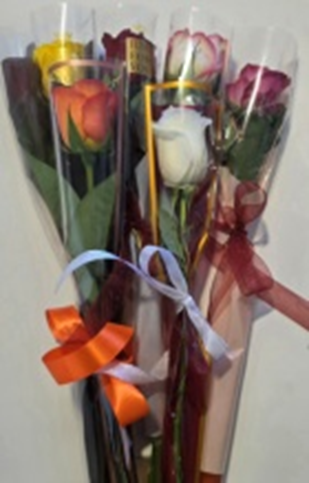 6 Different Colour Single Rose