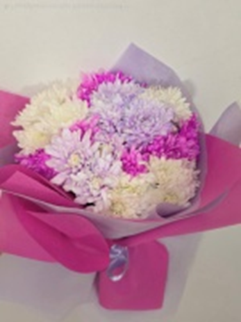 3 Different Colours Chrysanthema