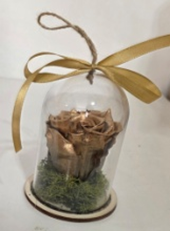 Forever In Plastic Dome