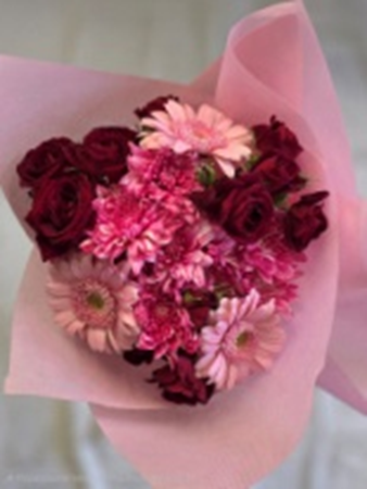 Chrysanthema Kerperes Mini Rose