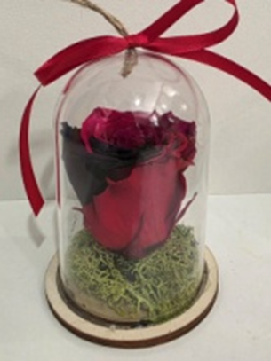 Forever In Glass Dome