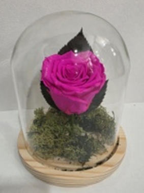 Forever In Glass Dome