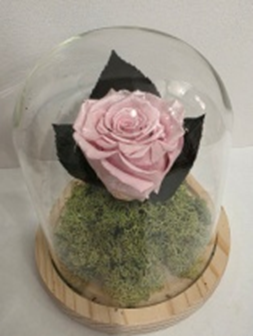 Forever In Glass Dome