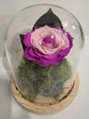 Forever In Glass Dome