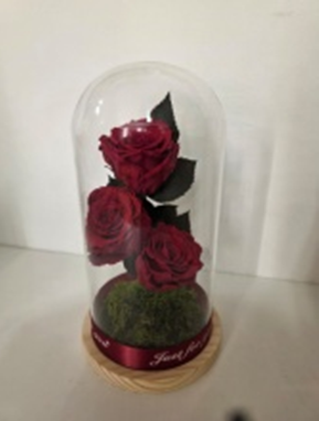 3 Forever In Glass Dome