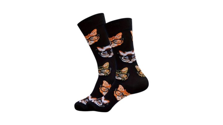Sofisticated cats socks