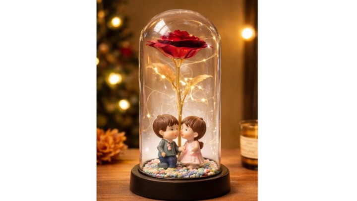 Couple romantic look and rose led light