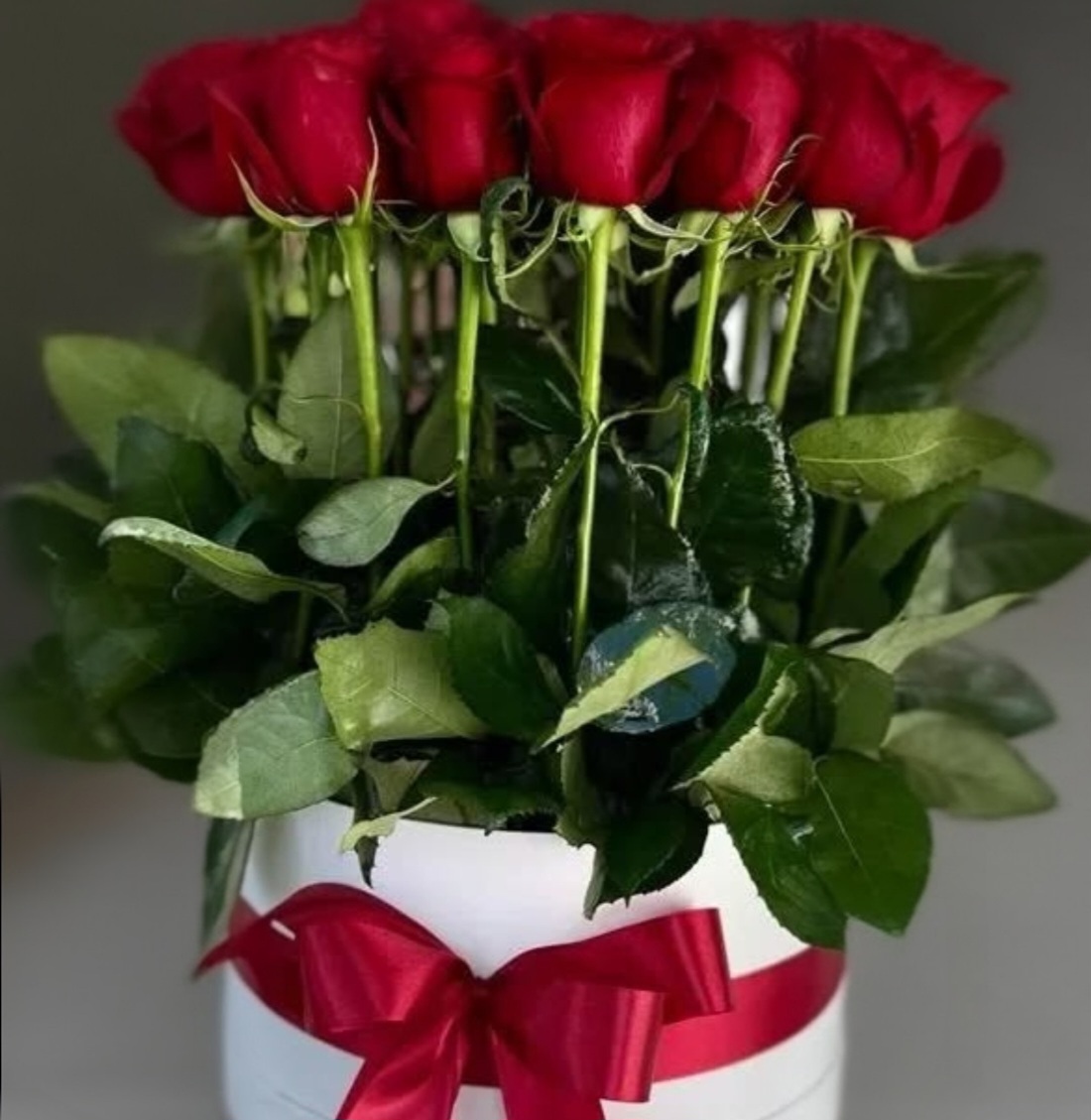 20 Fresh Roses In Medium Box