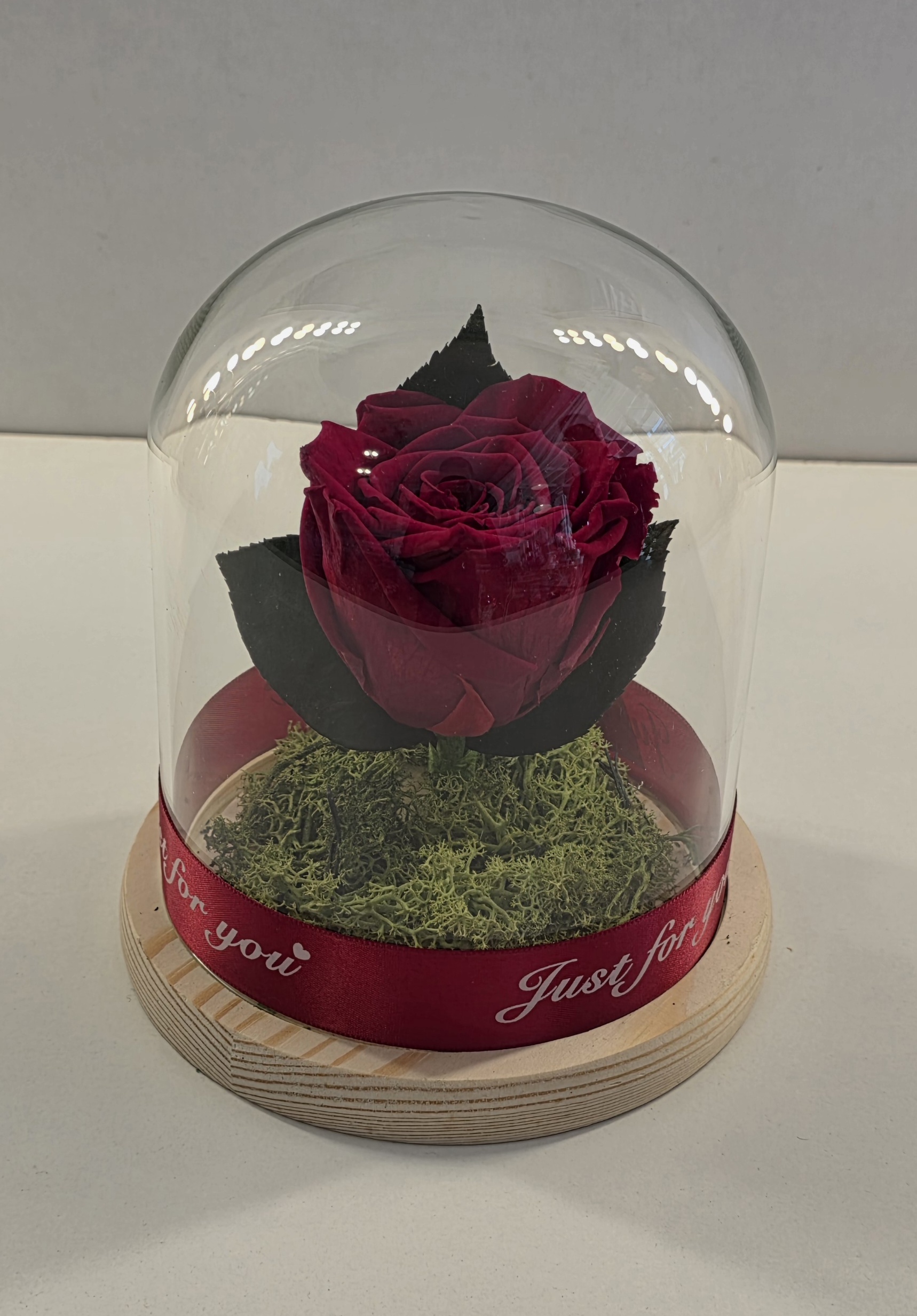 1 Forever Rose  In A Glass Dome