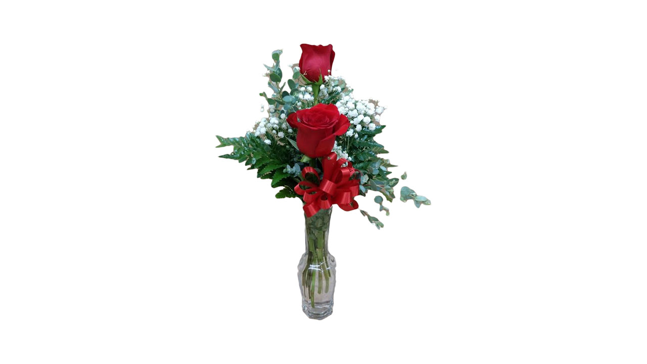2 red roses in a vase