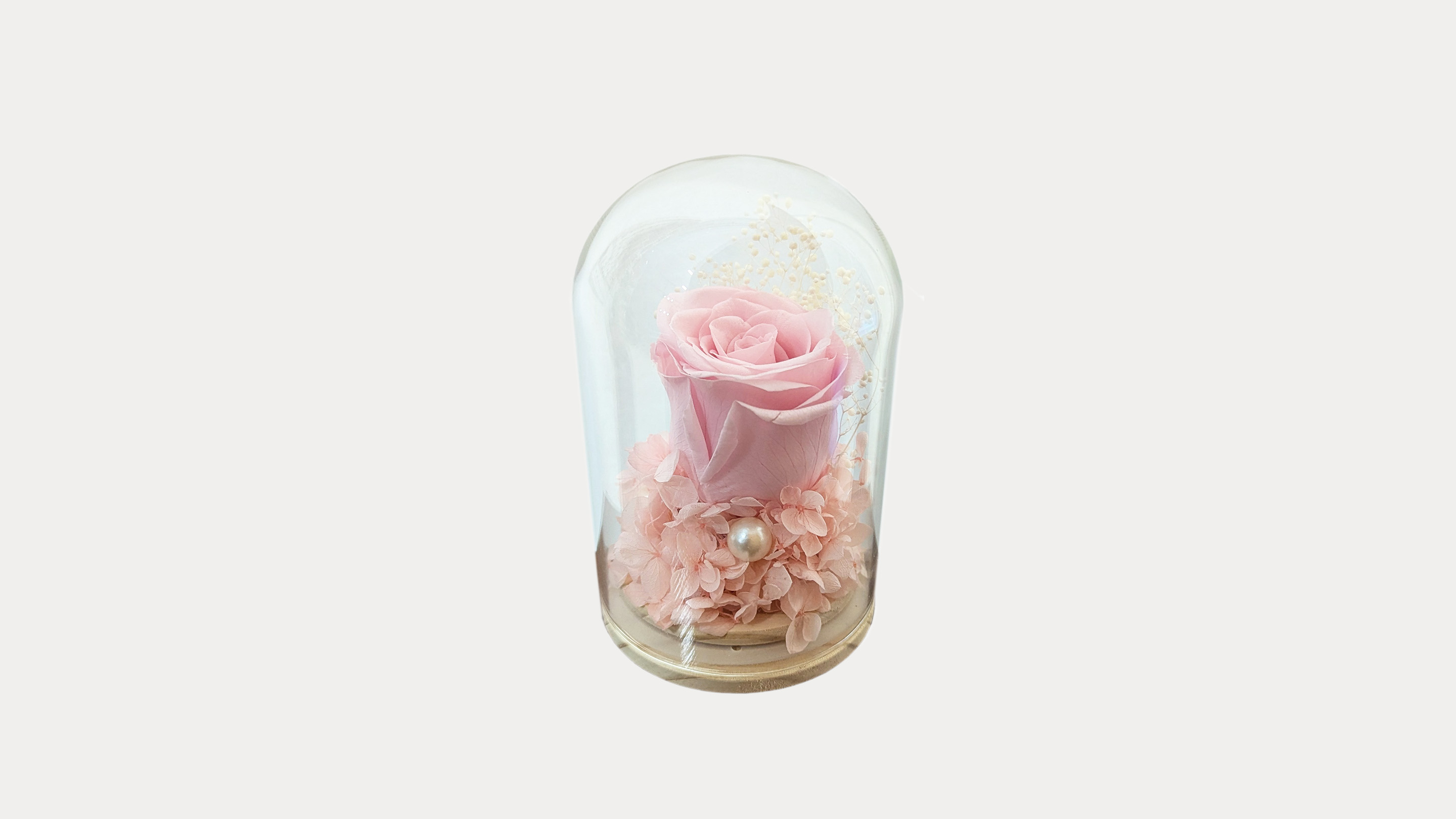 Eternal Pink Rose In Mini Dome