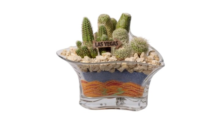 Arrangement "Las Vegas"