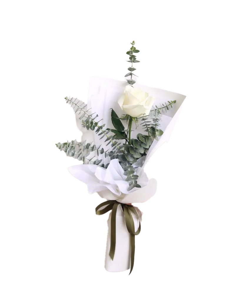 Single White Rose
