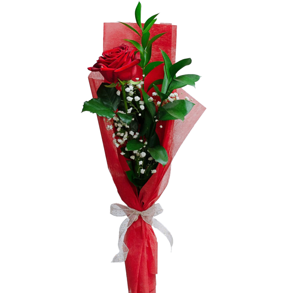 Single Red Rose