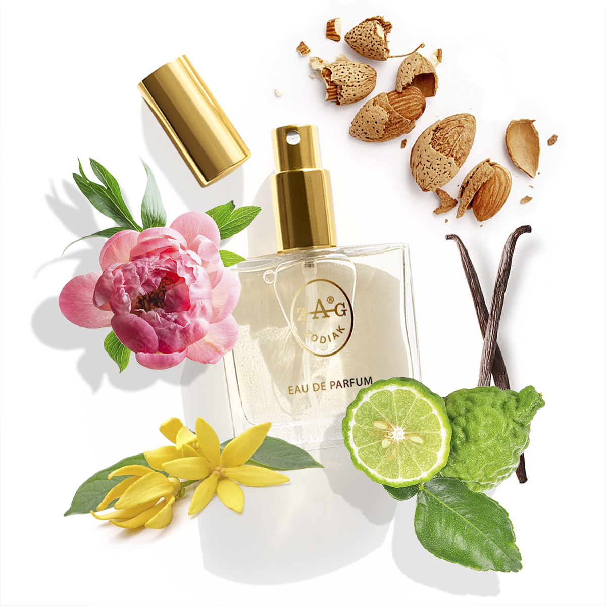 Eau de Parfum ZAG Zodiak 594 BL on type of GOOD GIRL BLUSH 50 ML