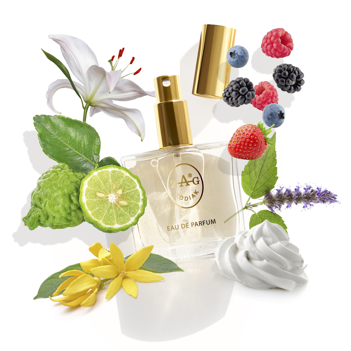 Eau de Parfum ZAG Zodiak 598 DV on type of DIVINE-50 ML