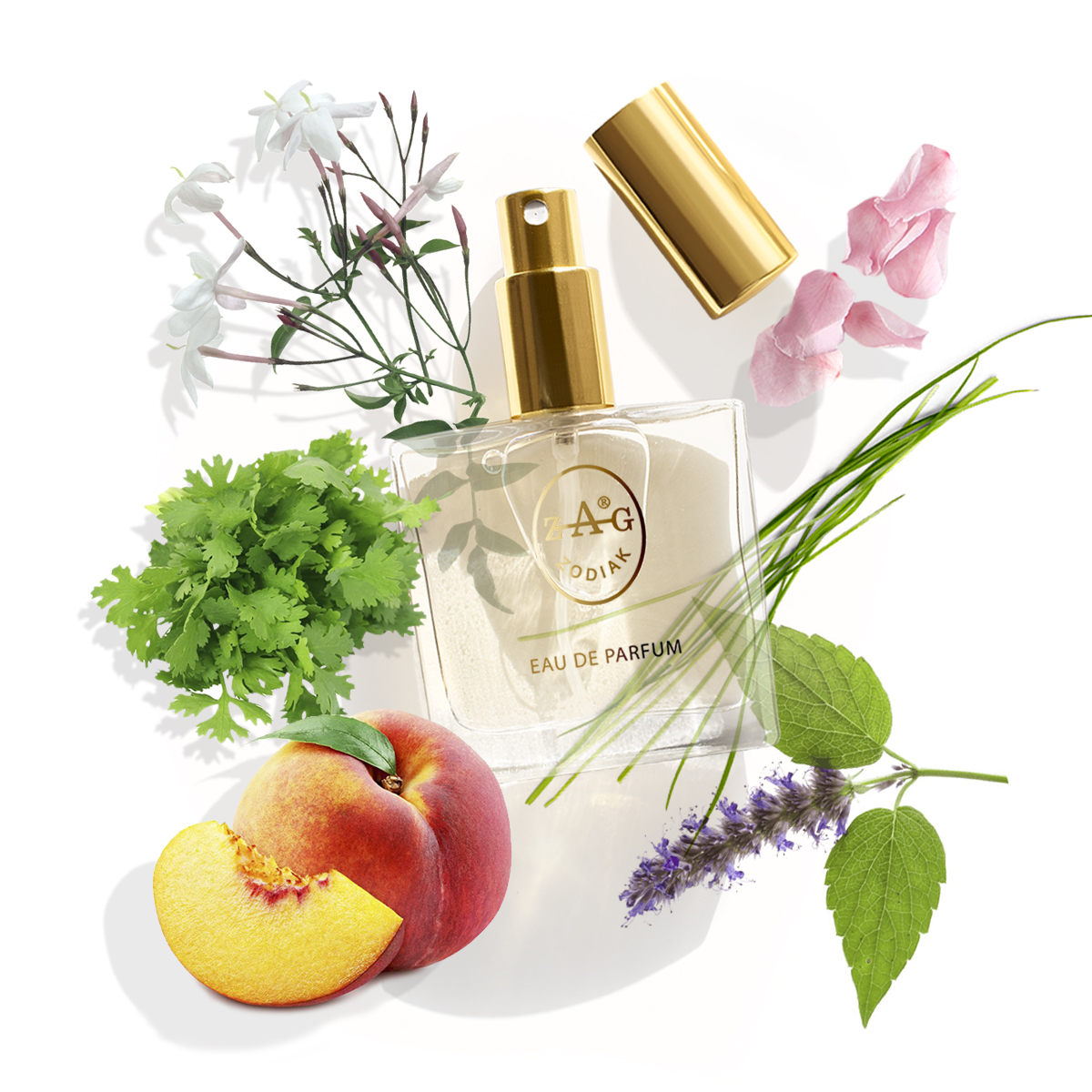 Eau de Parfum ZAG Zodiak 34 GU on type of  GUCCI RUSH 50ML