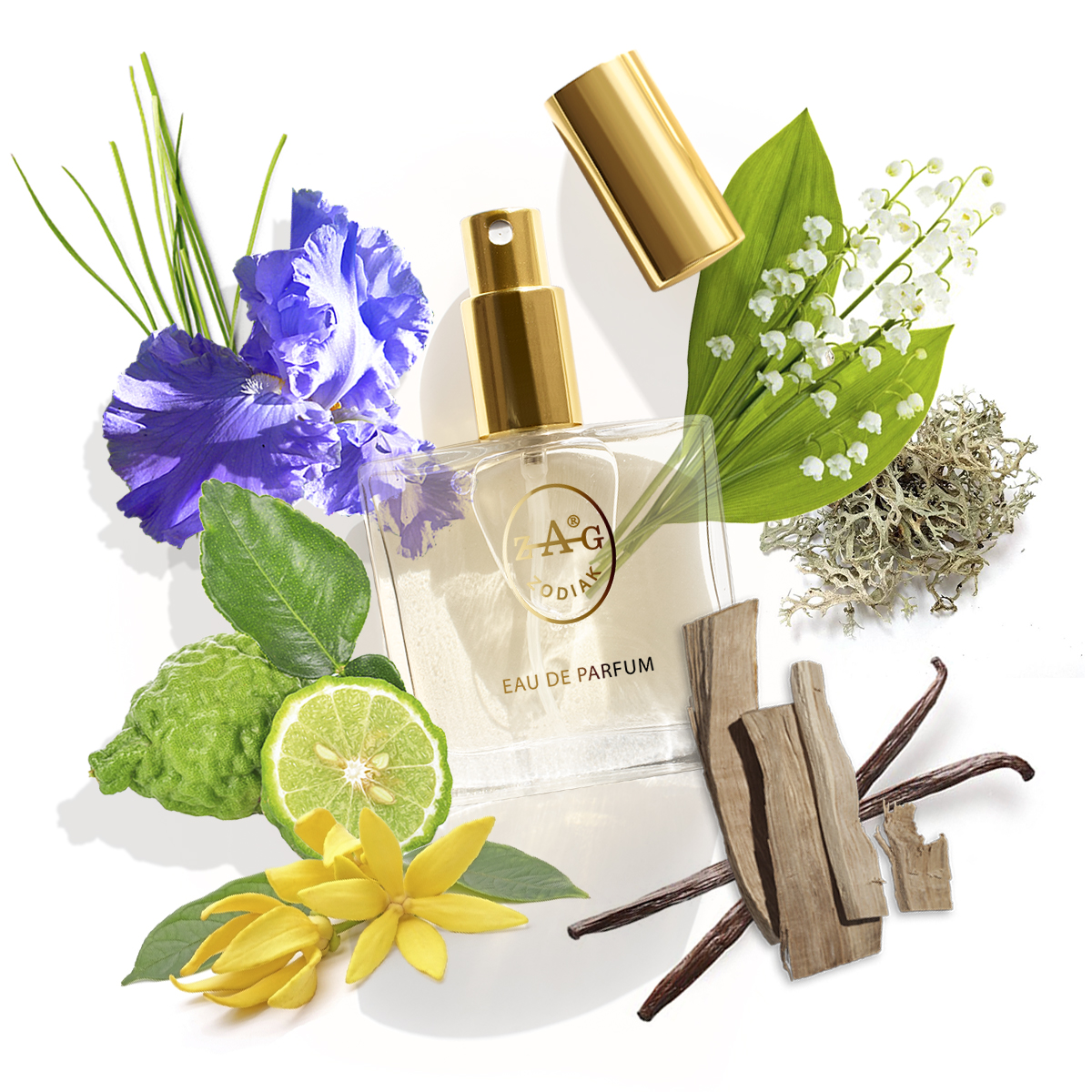 Eau de Parfum ZAG Zodiak 41 CL on type of  CHANEL 5 - 50ML