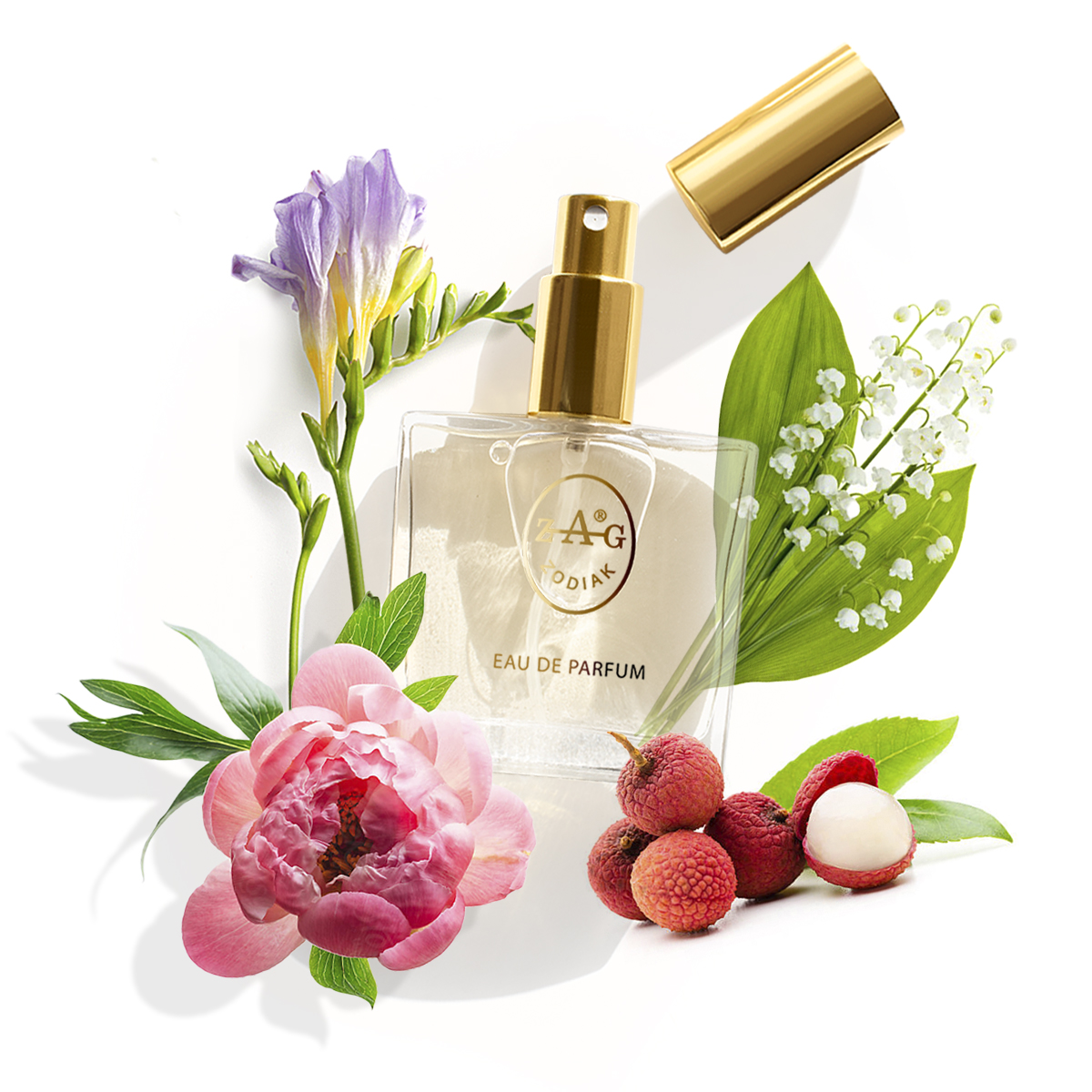 Eau de Parfum ZAG Zodiak 071 CH on type of  CHLOE 50 ML