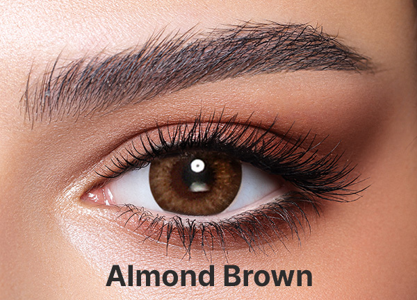 Bella One Day Almond Brown (10 Pack) - Honey Colored Contact Lenses - Power = -5