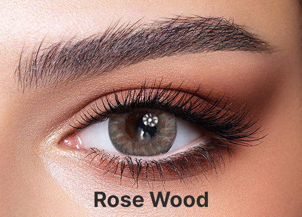 Bella One Day Rose Wood (10 Pack) - Gray Colored Contact Lenses - Power = -1