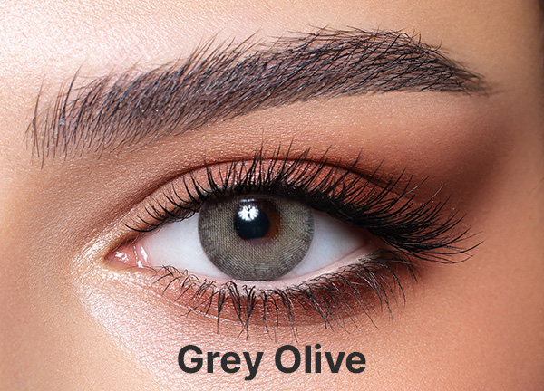 Bella Elite  Collection Gray Olive - Gray Colored Contact Lenses - Power = -0.5